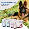Квадромидас Modes противопаразитарные таблетки для собак 2,0 - 4,0 кг (0,2 г), 1 таблетка