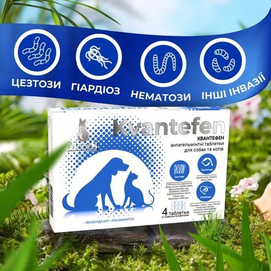 Квантефен Modes антигельминтные таблетки для собак и кошек, 1 таблетка