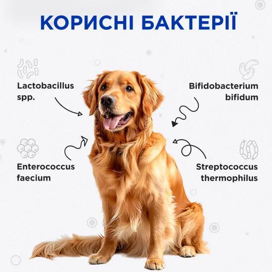 Комбифлор Пробиотик Modes порошок для поддержания баланса микрофлоры кишечника собак и кошек по 2 г 15 пакетиков