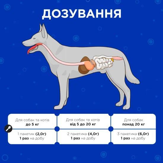 Комбифлор Пробиотик Modes порошок для поддержания баланса микрофлоры кишечника собак и кошек по 2 г 15 пакетиков
