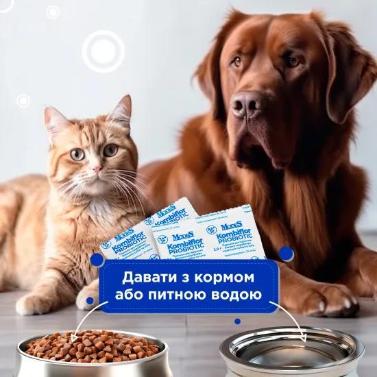 Комбифлор Пробиотик Modes порошок для поддержания баланса микрофлоры кишечника собак и кошек по 2 г 15 пакетиков