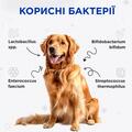 Комбифлор Пробиотик Modes порошок для поддержания баланса микрофлоры кишечника собак и кошек по 2 г 15 пакетиков