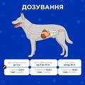 Комбифлор Пробиотик Modes порошок для поддержания баланса микрофлоры кишечника собак и кошек по 2 г 15 пакетиков