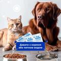 Комбифлор Пробиотик Modes порошок для поддержания баланса микрофлоры кишечника собак и кошек по 2 г 15 пакетиков