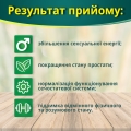 Фиточай Greenwood XL супер чай по 2 г №20 в фил.-пак.