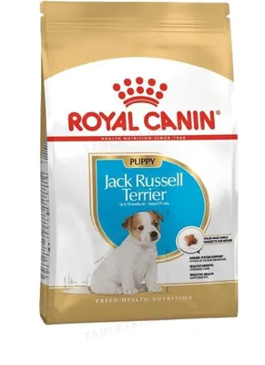 Корм сухий Royal Canin Russel Terrier Puppy Junior для цуценят до 10 місяців, 1,5 кг