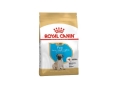 Корм сухой Royal Canin Pug Puppy для щенков породы Мопс до 10 месяцев, 1,5 кг