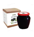 Паста ягідна LiQberry 100% Аронія, 550 г