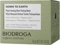 Маска-пилинг для лица Biodroga Down to Earth органическая, 50 мл