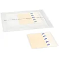 Пов'язка пластирна Alpe PrimaDerm Transparent Dressing прозора, 20 cм х 20 см