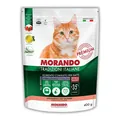 Корм сухий Morando Tradizioni Sterilized для стерилізованих котів з лососем, 400 г