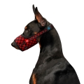 Намордник для собак Collar №2 WAUDOG Nylon 5375 Шотландка червона, обхват 19-26 см