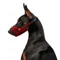 Намордник для собак Collar №2 WAUDOG Nylon 5375 Шотландка червона, обхват 19-26 см
