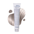 Крем-краска для волос Palco Professional Only Color безаммиачная № 10.1 экстра блонд платиновый пепельный, 100 мл