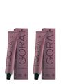 Набор красок для волос Schwarzkopf Professional Igora Color10 7-7 Средний Блонд Медный, 2 шт х 60 мл