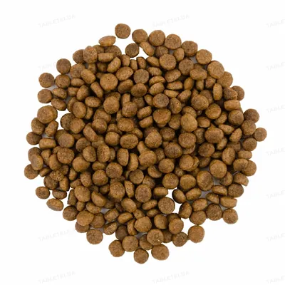 Корм сухий для довгошерстих кішок Savory Adult Cat Gourmand Fresh Salmon & White Fish зі свіжим лососем та білою рибою, 2 кг