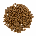 Корм сухой для длинношерстных кошек Savory Adult Cat Gourmand Fresh Salmon & White Fish со свежим лососем и белой рыбой, 2 кг