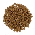 Корм сухий для довгошерстих кішок Savory Adult Cat Gourmand Fresh Salmon & White Fish зі свіжим лососем та білою рибою, 2 кг