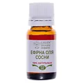 Олія ефірна Green Pharm Cosmetic сосни, 10 мл