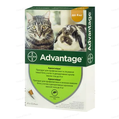 Адвантейдж 40 Bayer краплі від заражень блохами для котів і кошенят до 4 кг, 1 піпетка