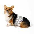 Підгузки M-Pets Washable Diapers Male Dog гігієнічні багаторазові для кобелів, розмір S, 25,4-33 см