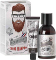 Набор для покраски Beardburys 3N темно-коричневый для волос, бороды и усов, 30мл/45мл