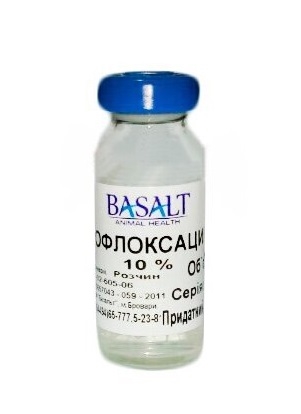 Энрофлоксацин 10 % (ДЛЯ ЖИВОТНЫХ) раствор пероральный, 10 мл