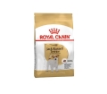 Корм сухой для собак Royal Canin Jack Russel Terrier Adult старше 10 месяцев, 1,5 кг