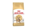Корм сухой для кошек Royal Canin Bengal Adult бенгальской породы от 1 года, 2 кг