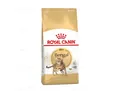 Корм сухий для кішок Royal Canin Bengal Adult бенгальської породи від 1 року, 2 кг