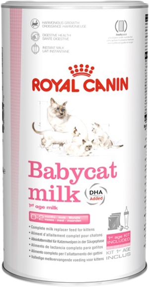 Lactol cat milk best sale