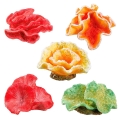 Аксесуары для аквариума Ferplast AQUAMINI 3 BLU 9179