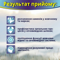 Пролит Супер капсулы №60 во флак.