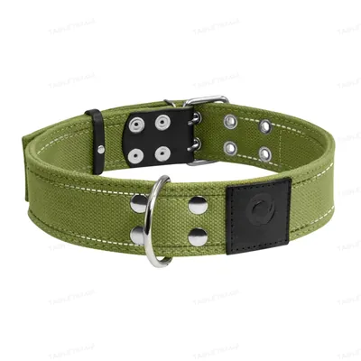 Нашийник Collar з бавовняної стрічки подвійний, ширина 45 мм, довжина 56-71 см