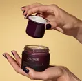 Крем для обличчя Caudalie Premier Cru Riche насичений омолоджуючий, змінний блок, 50 мл