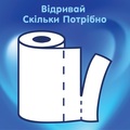 Рушники паперові Selpak, 2 рулони