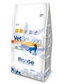 Корм сухий Monge Сat VetSolution Urinary Struvite feline для котів усіх порід з порушеннями сечовивідної системи, 1,5 кг