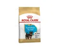 Корм сухий для щенят Royal Canin Yorkshire Terrier Junior породи йорк до 10 місяців, 1,5 кг