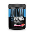 Креатин Universal Nutrition Animal Supercharged Creatine 4-in-1 Watermelon, 282 г