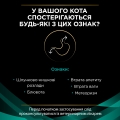 Корм сухой Purina Pro Plan Veterinary diets EN ST/OX Gastrointestinal для кошек при расстройствах пищеварения, 400 г