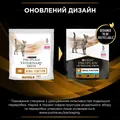 Корм сухий Purina Pro Plan Veterinary Diets NF Advanced Care для кішок з патологією нирок, 350 г