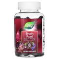 Поддержка памяти и концентрации Nature's Way Brain Fuel вкус винограда, 60 жевательных конфет