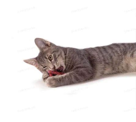 Іграшка для котів Petstages pt333 Претцель з котячою м'ятою