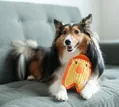 Іграшка для собак Outward Hound Invincibles Minis Chicky oh67805 Курча міні, жовта