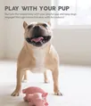 Іграшка для собак Outward Hound oh68092 Свинка-акордеон, велика, рожева