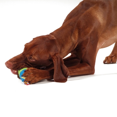 Іграшка для собак Petstages Calming Treat Capsule pt109 Капсула для ласощів