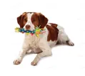 Іграшка для собак Petstages Cool Teething Stick pt126 для ніжних ясен
