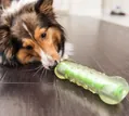 Іграшка для собак Petstages Crunchcore pt263 Хрумка кістка, прозоро-зелена, міні