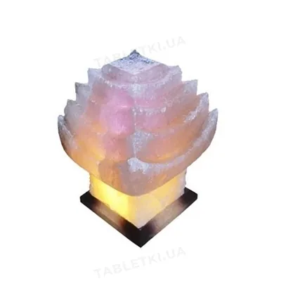 Лампа соляна SaltLamp Будиночок китайський, 6-7 кг