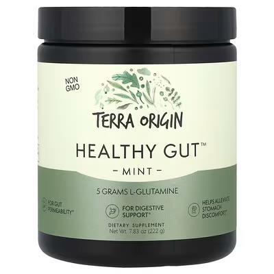 Комплекс для нормальной работы ЖКТ Terra Origin Healthy Gut со вкусом мяты, 243 г